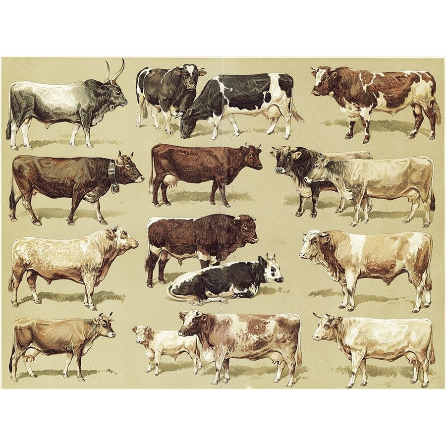 Dairy Farm Poster Print - Apple Collection Vintage-VARPDXVINAPP177691 Image 1