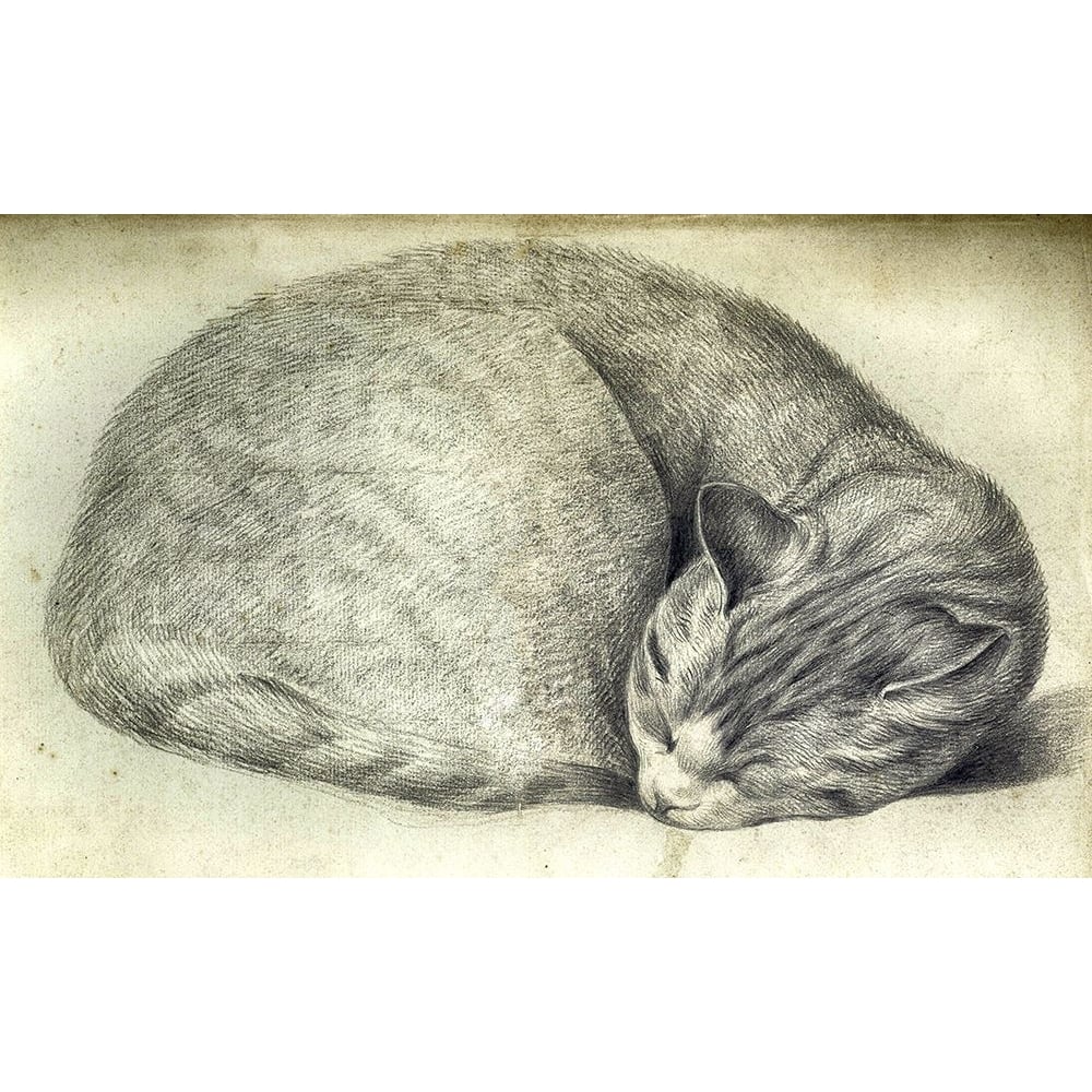 Sleeping Cat Poster Print - Apple Collection Vintage-VARPDXVINAPP176663 Image 1