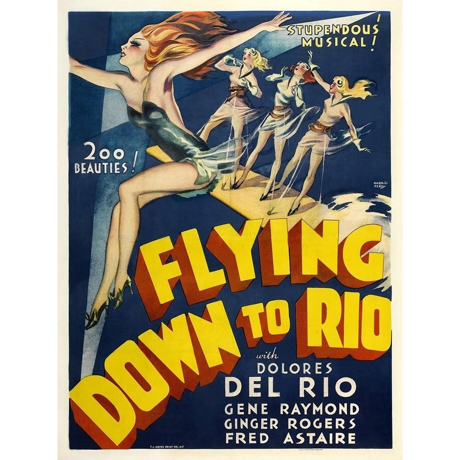 Flying Down To Rio Poster Print by Anonymous Anonymous-VARPDXVM113639 Image 1