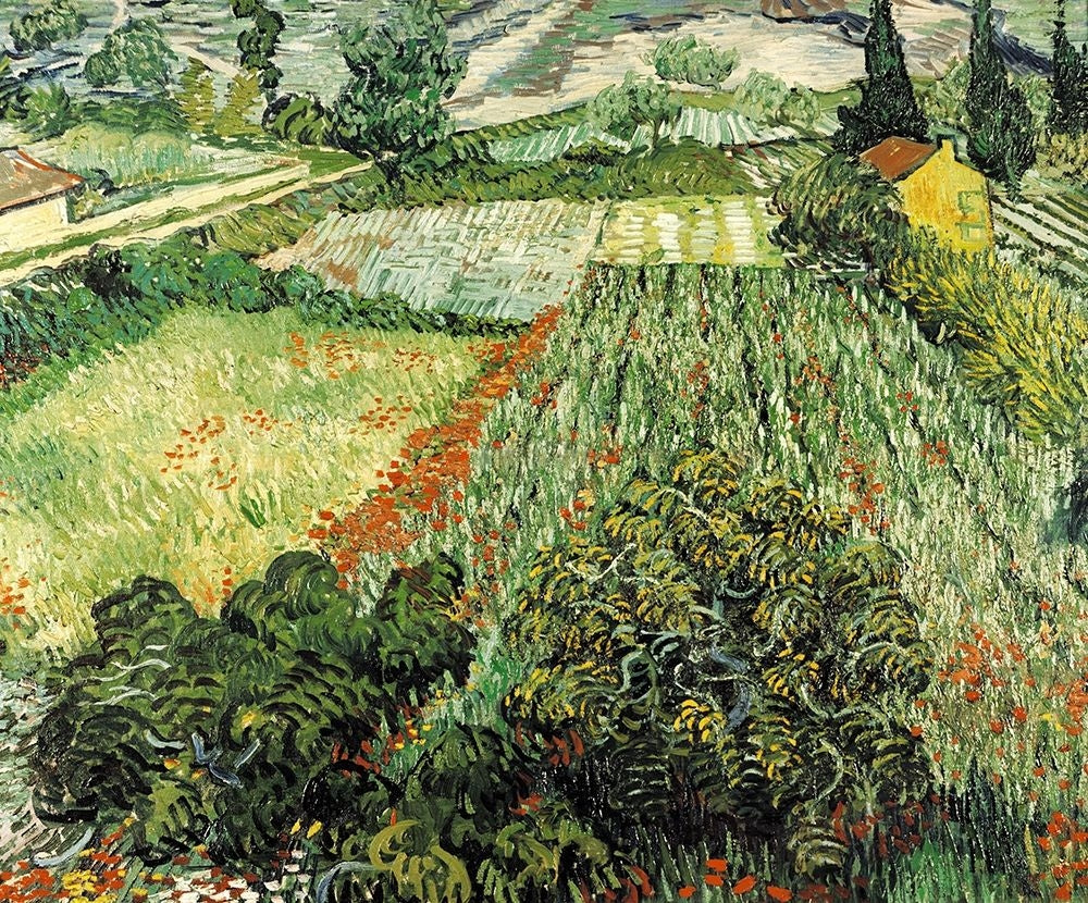 Feld mit Mohnblumen by Vincent Van Gogh-VARPDXVVG2094 Image 1