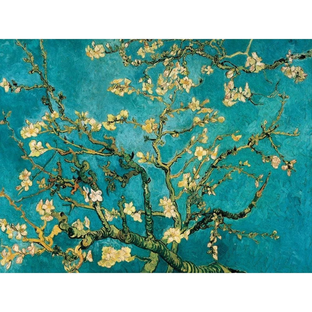 Mandorlo in fiore Poster Print by Vincent Van Gogh-VARPDXVVG2149 Image 1