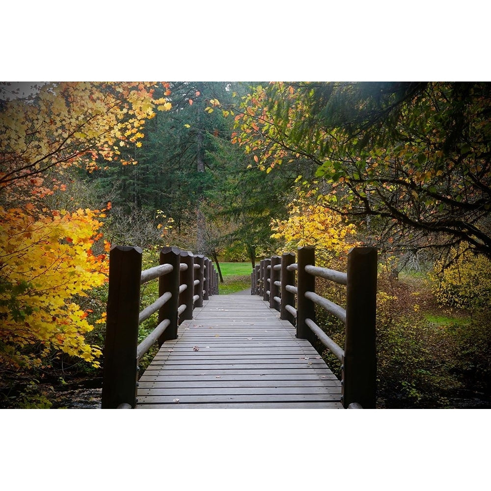 Autumns Bridge Poster Print - Susan Vizvary Photography-VARPDXVY008A Image 1