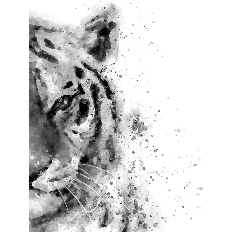 Tiger At Attention Poster Print by Brandon Wong-VARPDXW1109D Image 1