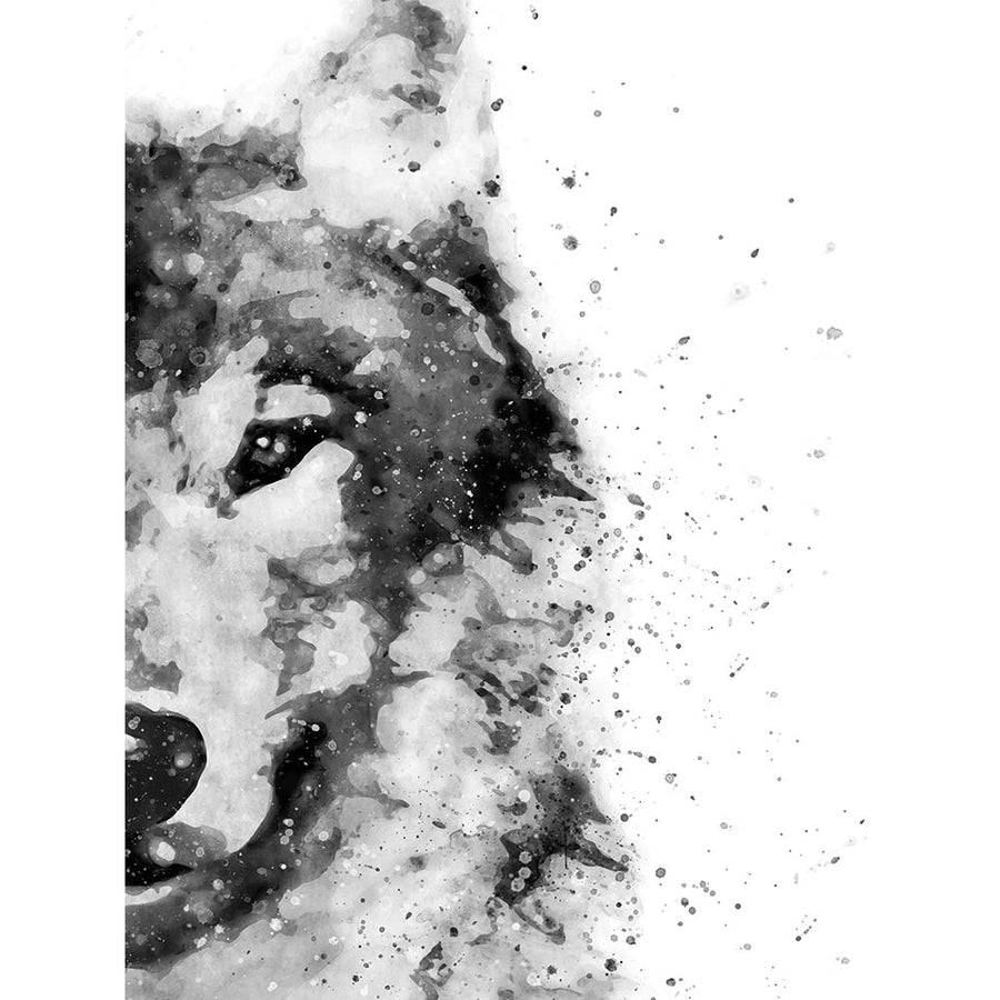 Wolf At Attention Poster Print by Brandon Wong-VARPDXW1110D Image 1