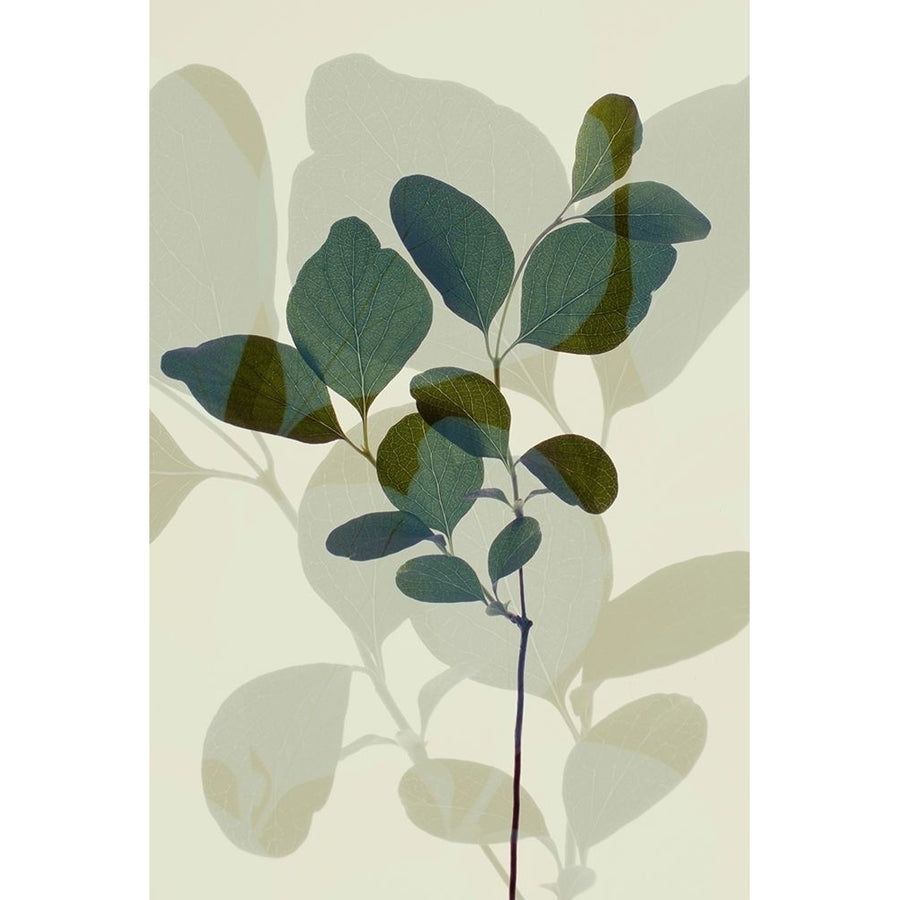 Green Leaves 7 by Ian Winstanley-VARPDXW1169D Image 1