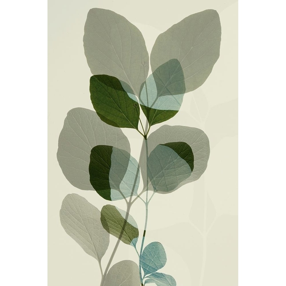 Green Leaves 10 by Ian Winstanley-VARPDXW1171D Image 1