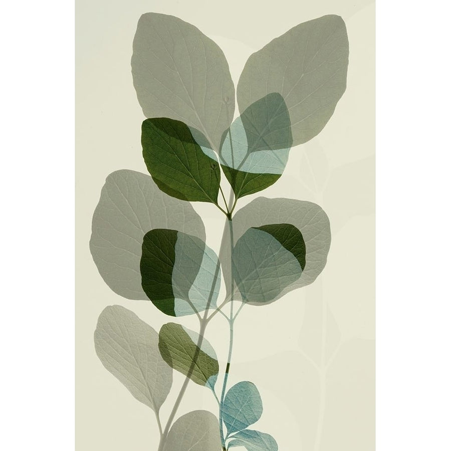 Green Leaves 10 by Ian Winstanley-VARPDXW1171D Image 1