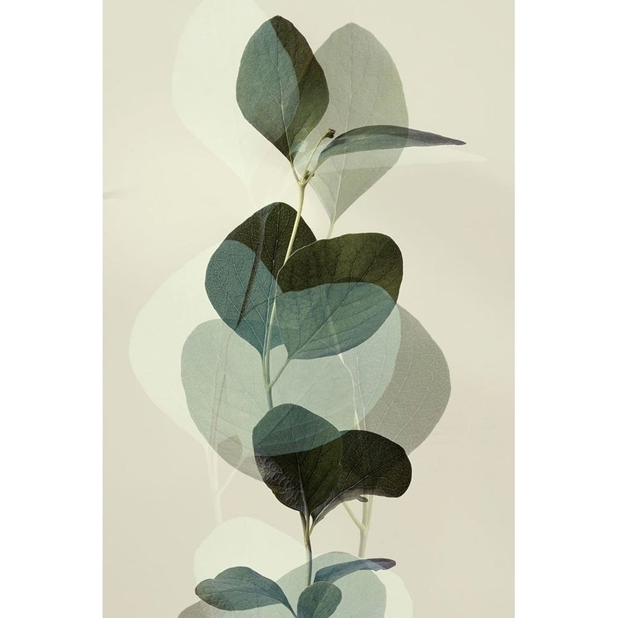 Green Leaves 8 by Ian Winstanley-VARPDXW1170D Image 1