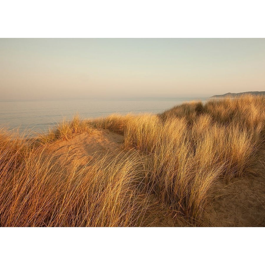 Dunes with Seagulls 7 by Ian Winstanley-VARPDXW1207D Image 1