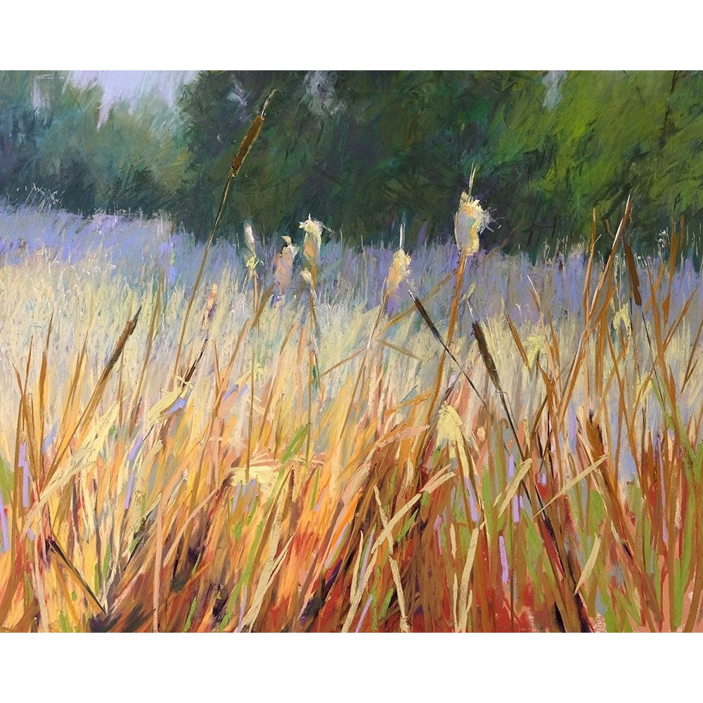 Cattails Poster Print - Carol Strock Wasson-VARPDXW1362D Image 1