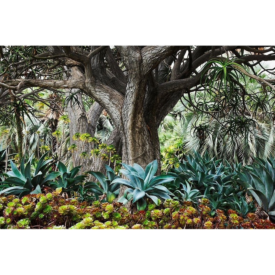 Welcome to The Jungle Poster Print - Richard Wong-VARPDXW1386D Image 1