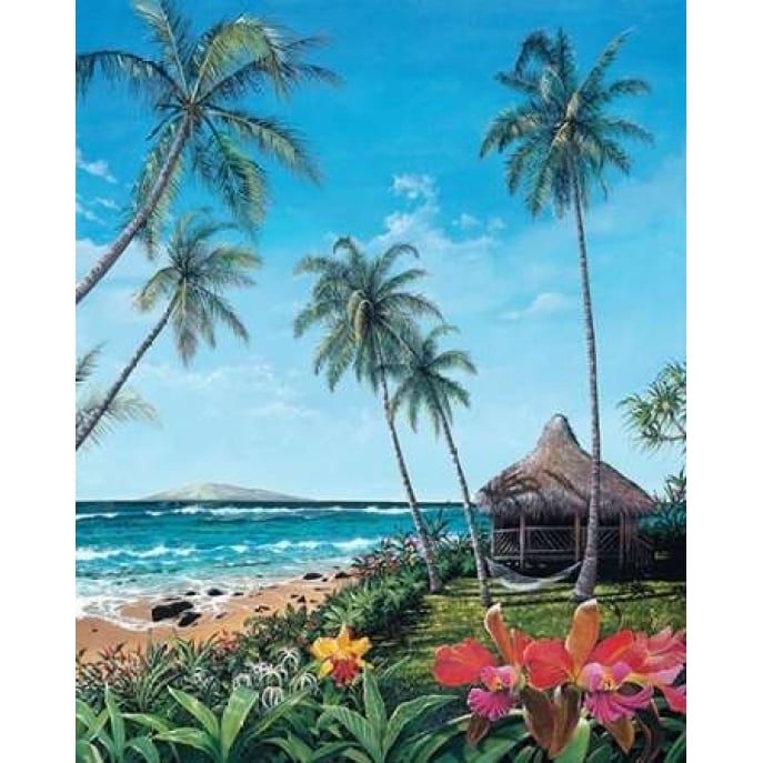 Maui Morning Poster Print by Scott Westmoreland-VARPDXW656D Image 1