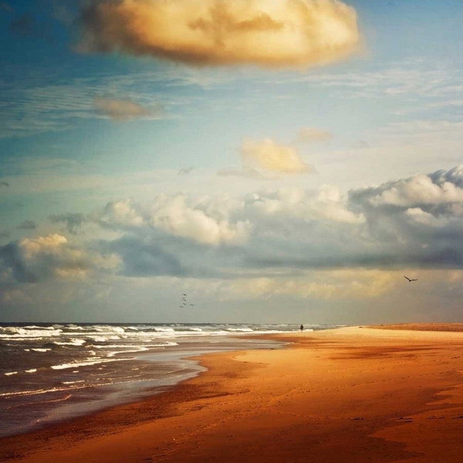 Dream Beach Poster Print by Dirk Wuestenhagen-VARPDXW886D Image 1