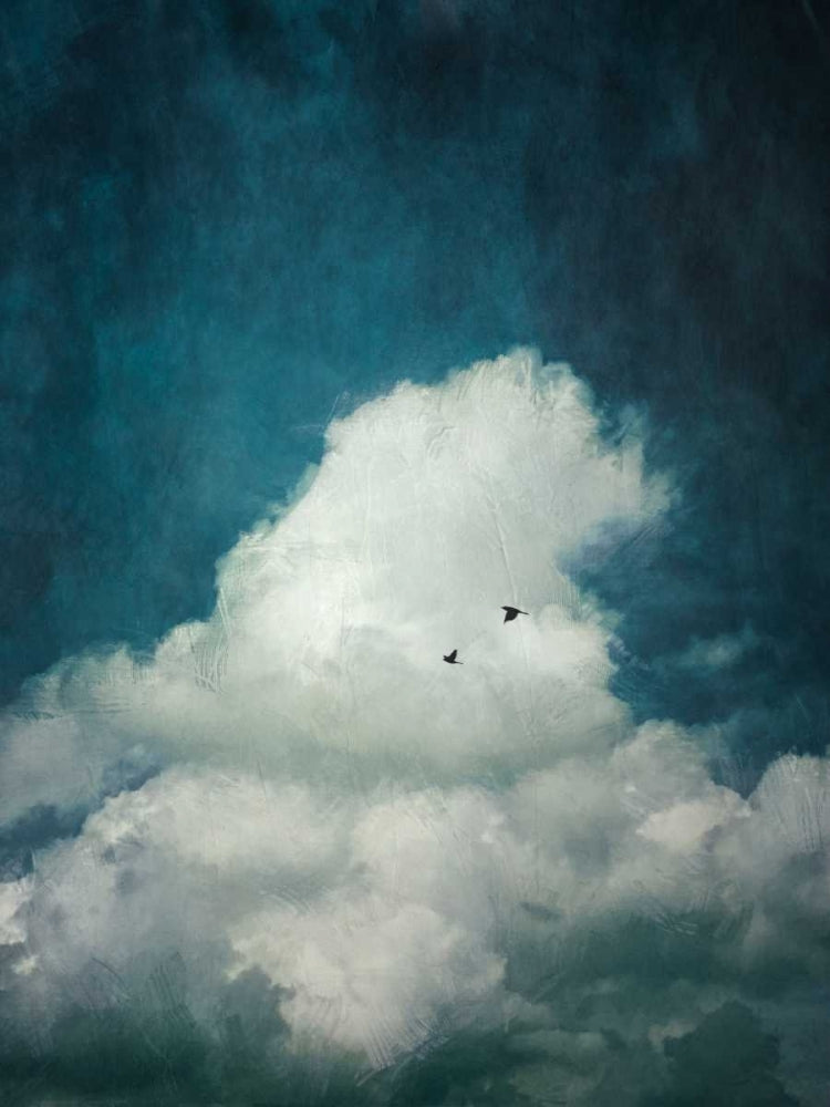 The Cloud Poster Print by Dirk Wuestenhagen-VARPDXW897D Image 1