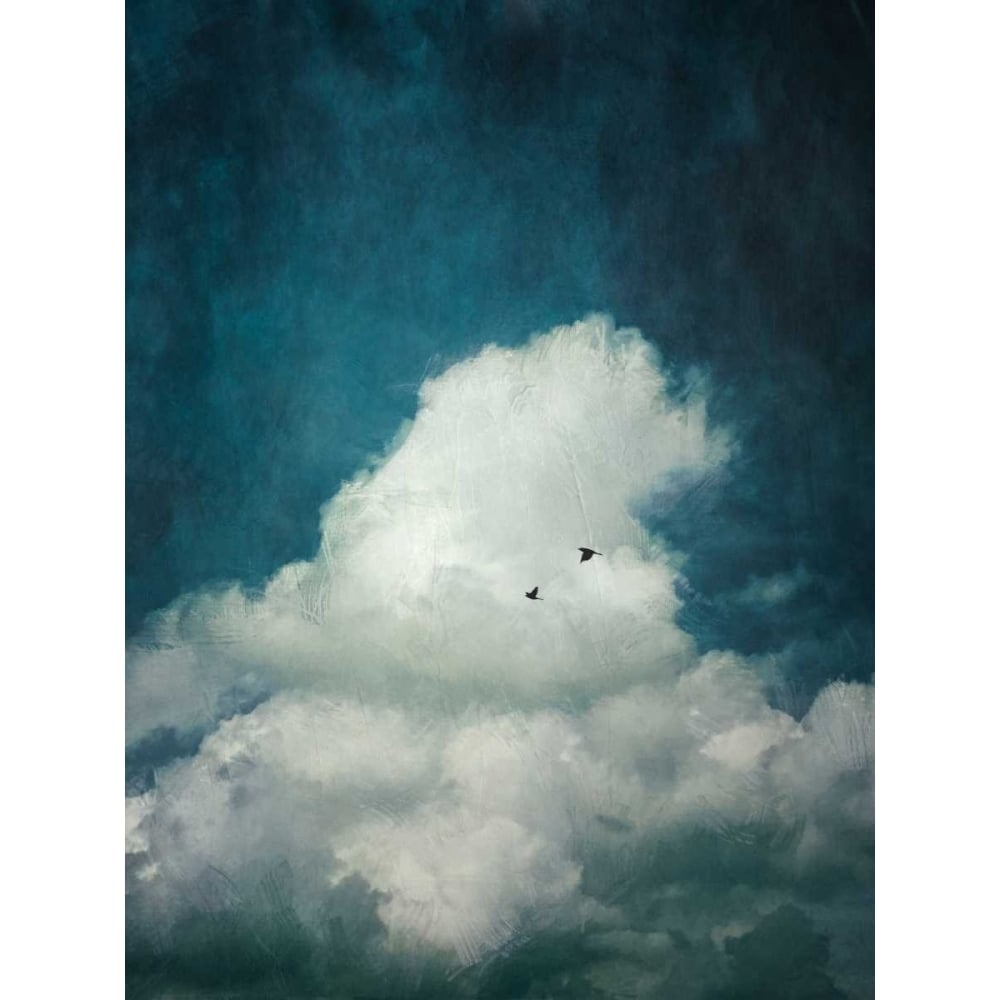 The Cloud Poster Print by Dirk Wuestenhagen-VARPDXW897D Image 2