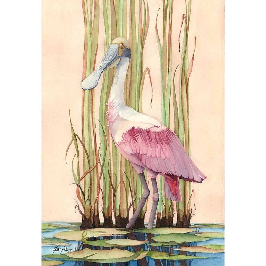 Roseate Spoonbill Poster Print - Gene Rizzo-VARPDXWBRS Image 1