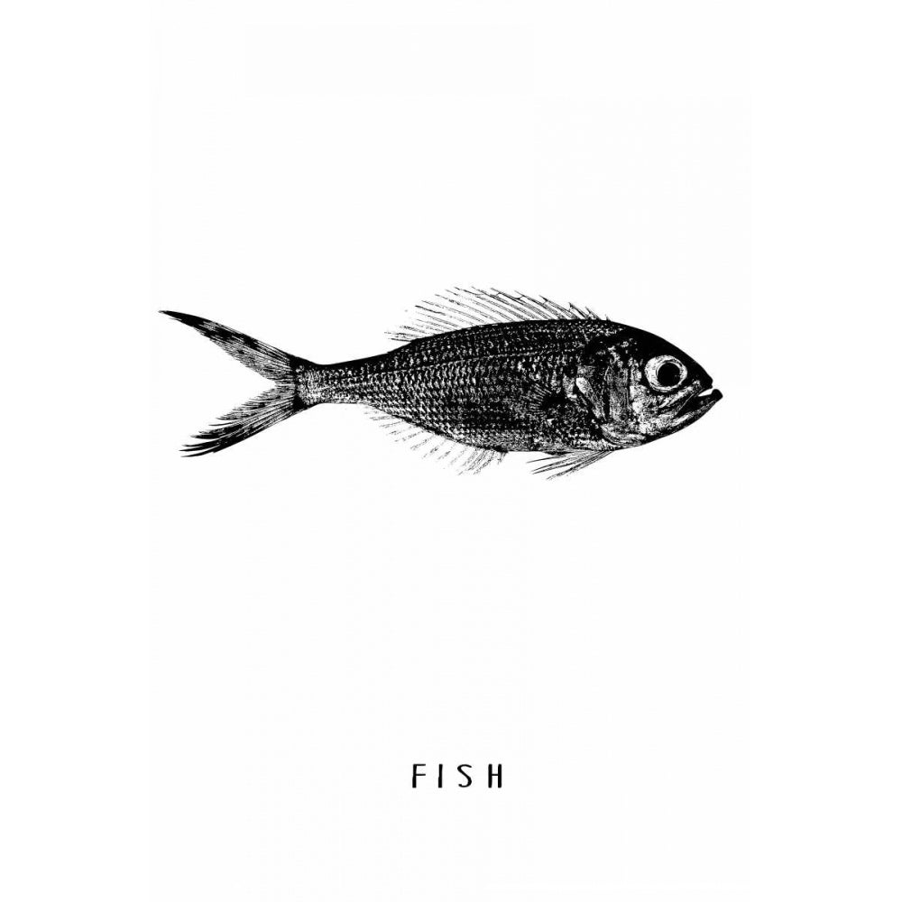 Fish Poster Print by Anne Waltz-VARPDXWE0022 Image 2