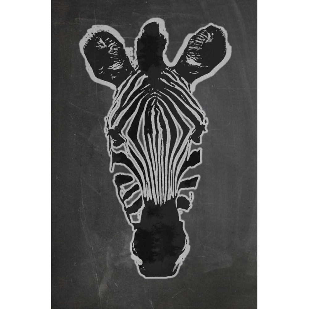 Zebra Gris Poster Print by Anne Waltz-VARPDXWE0020 Image 2