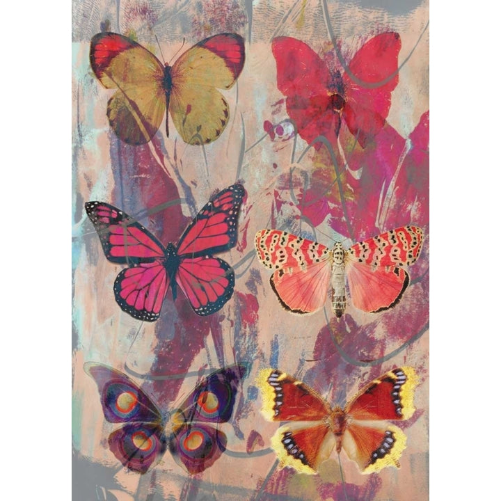 Butterflies lila Poster Print by Anne Waltz-VARPDXWE0036 Image 2