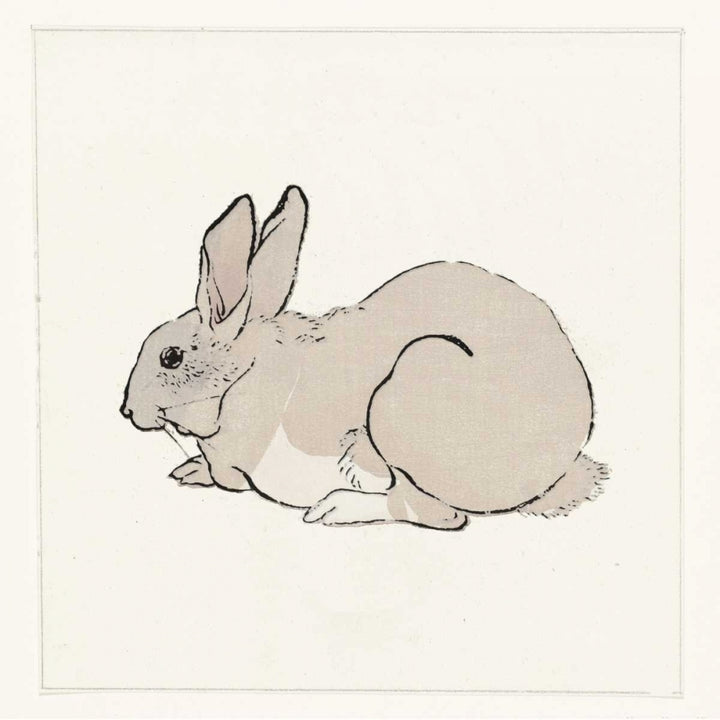 Rabbit Poster Print by Anne Waltz-VARPDXWE0050 Image 1