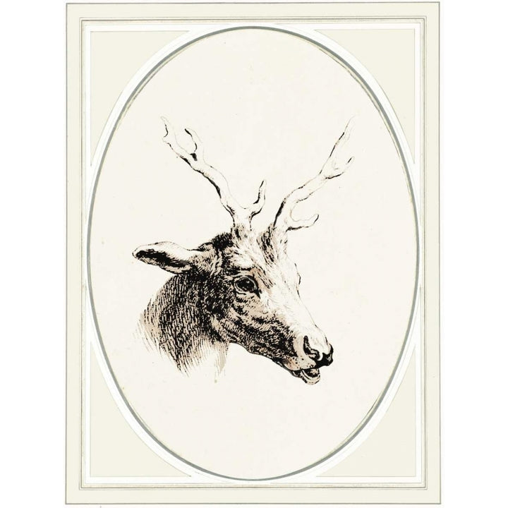 Deer I Poster Print by Anne Waltz-VARPDXWE0040 Image 2