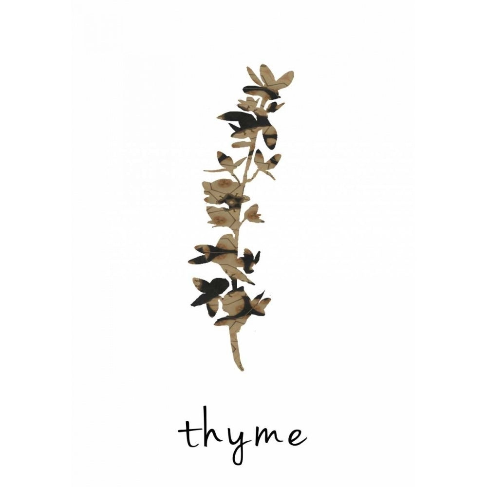 Thyme art I Poster Print by Anne Waltz-VARPDXWE0067 Image 2