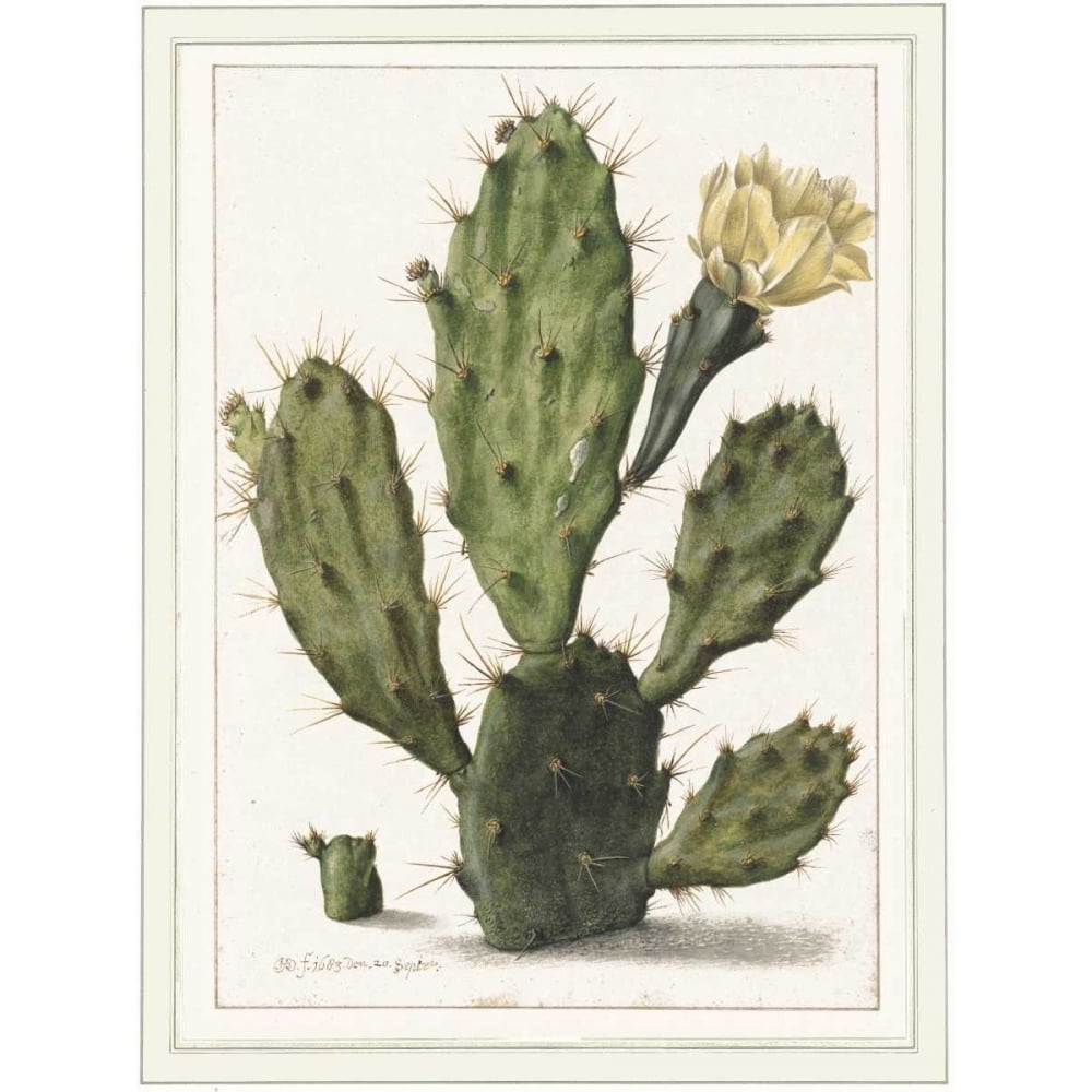 Cactenia Poster Print by Anne Waltz-VARPDXWE0077 Image 1