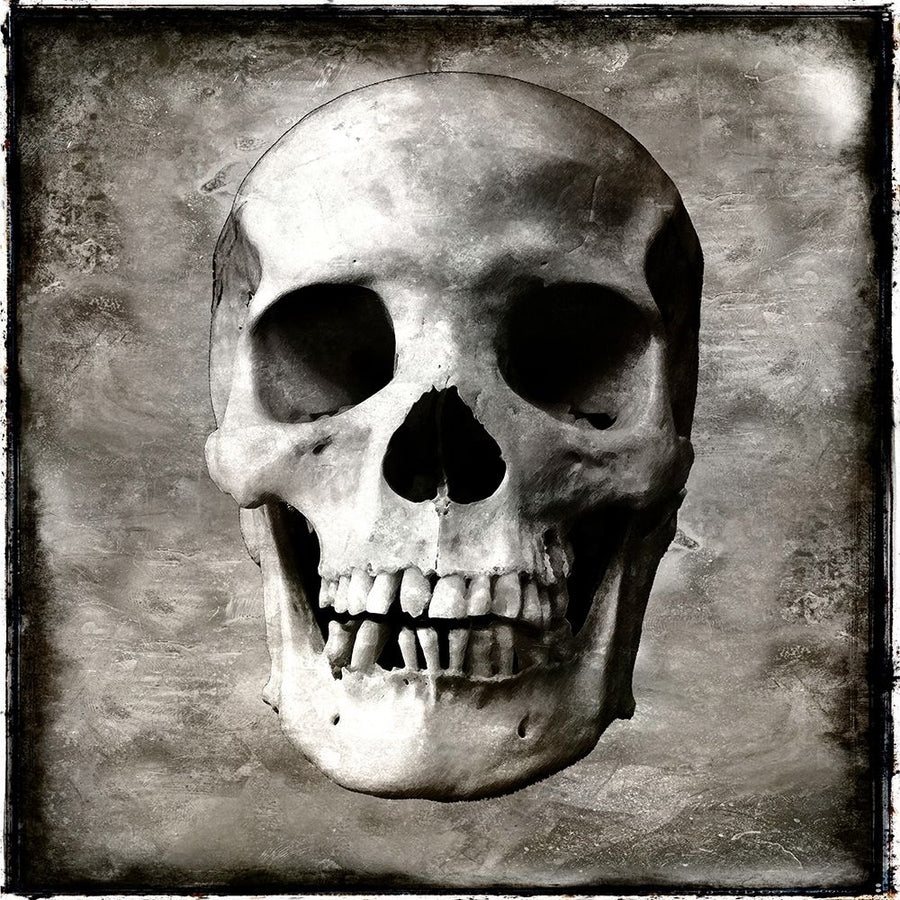 Skull I Poster Print by Martin Wagner-VARPDXWG112372 Image 1