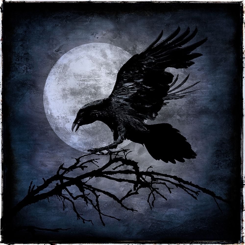 Crow Poster Print by Martin Wagner-VARPDXWG112366 Image 1