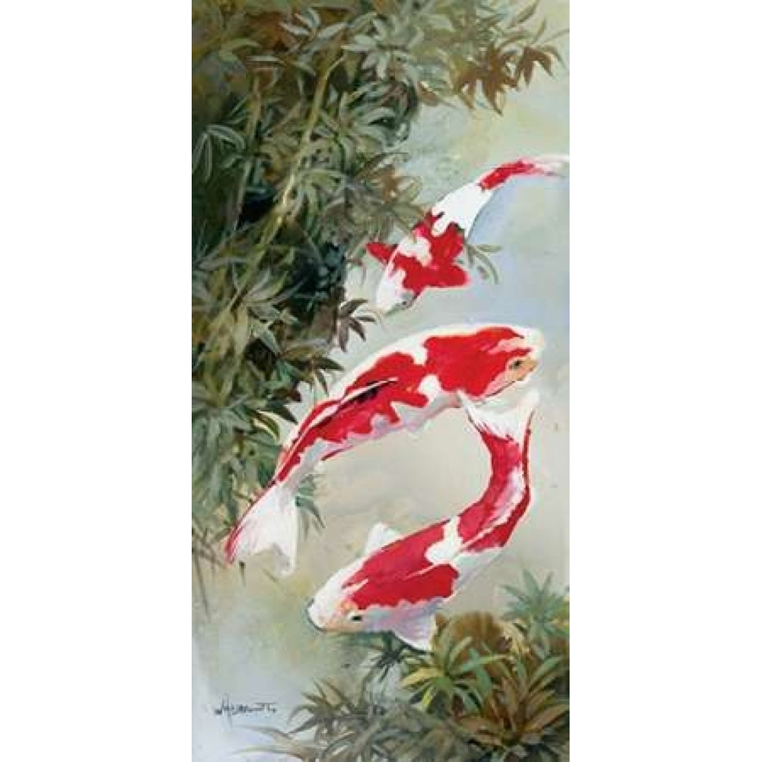 Koi 1 Poster Print by Willem Haenraets-VARPDXWH200829 Image 2