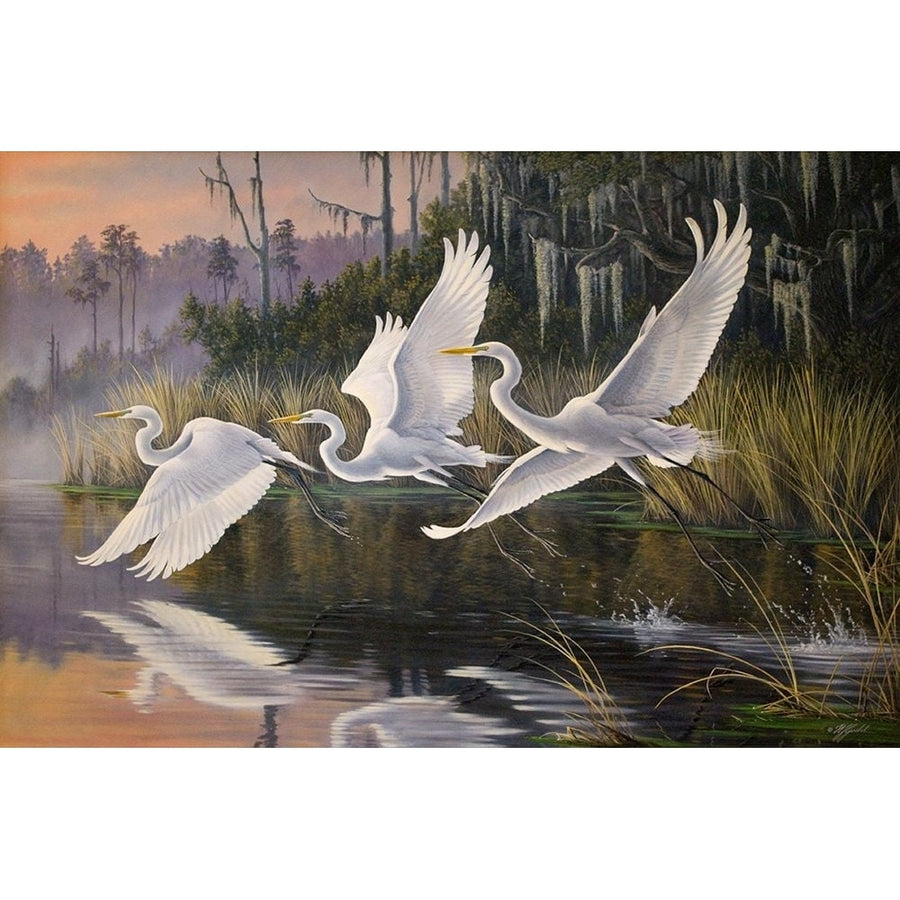 Morning Departure Egrets Poster Print - Wilhelm Goebel-VARPDXWILGOE105404 Image 1