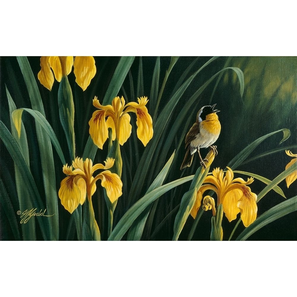 Yellow Flags And Yellowthroat Poster Print - Wilhelm Goebel-VARPDXWILGOE3018 Image 1