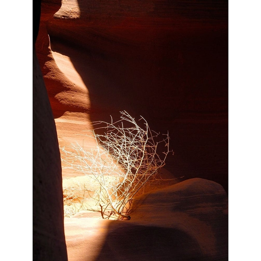 Antelope Canyon V Poster Print by Popcorn Popcorn-VARPDXWJTLAN00010 Image 1