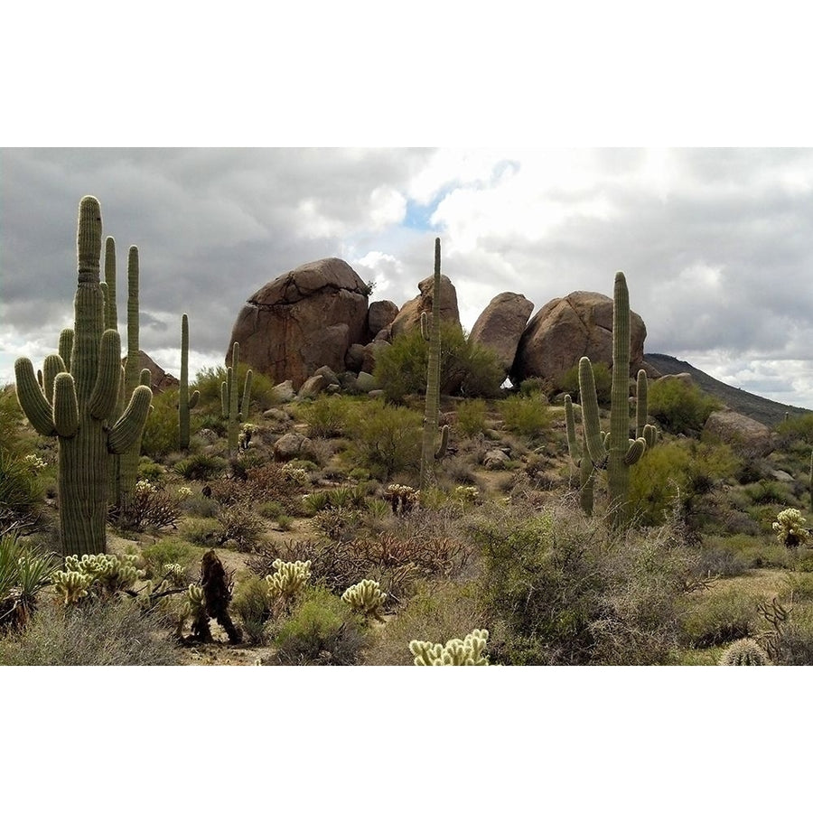 Cathedral Rock Poster Print by Popcorn Popcorn-VARPDXWJTLAN00052 Image 1