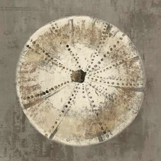 Sand Dollar I Poster Print by Aimee Wilson-VARPDXWL106A Image 1