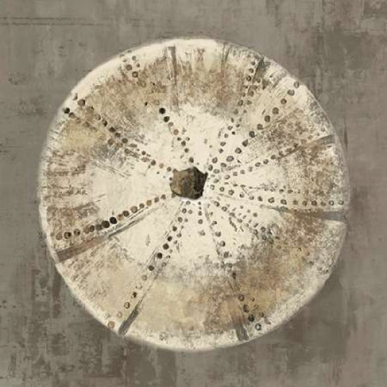 Sand Dollar I Poster Print by Aimee Wilson-VARPDXWL106A Image 2