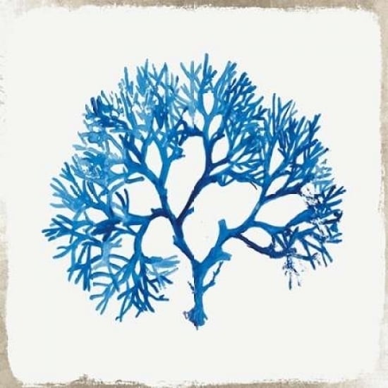 Blue Coral I Poster Print by Aimee Wilson-VARPDXWL028A Image 1