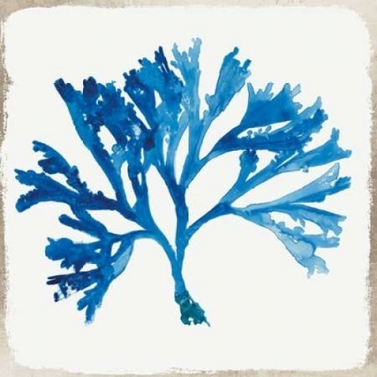 Blue Coral IV Poster Print by Aimee Wilson-VARPDXWL031A Image 1