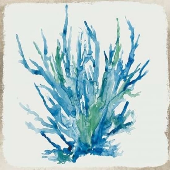 Blue Coral II Poster Print by Aimee Wilson-VARPDXWL029A Image 1