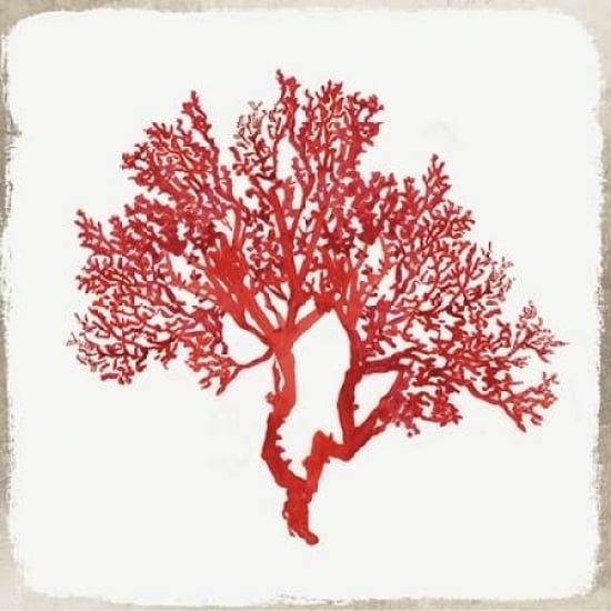 Red Coral II Poster Print by Aimee Wilson-VARPDXWL033A Image 1