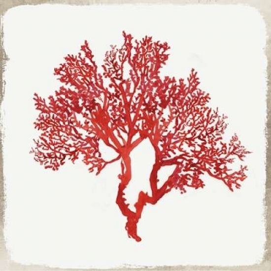 Red Coral II Poster Print by Aimee Wilson-VARPDXWL033A Image 2