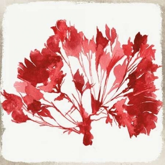 Red Coral IV Poster Print by Aimee Wilson-VARPDXWL035A Image 2