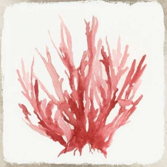 Red Coral I Poster Print by Aimee Wilson-VARPDXWL032A Image 2