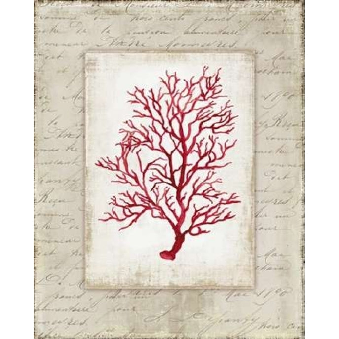 Red Coral III Poster Print by Aimee Wilson-VARPDXWL057A Image 1