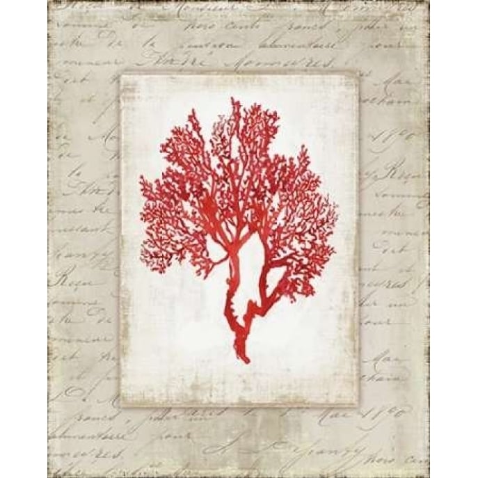 Red Coral II Poster Print by Aimee Wilson-VARPDXWL056A Image 1