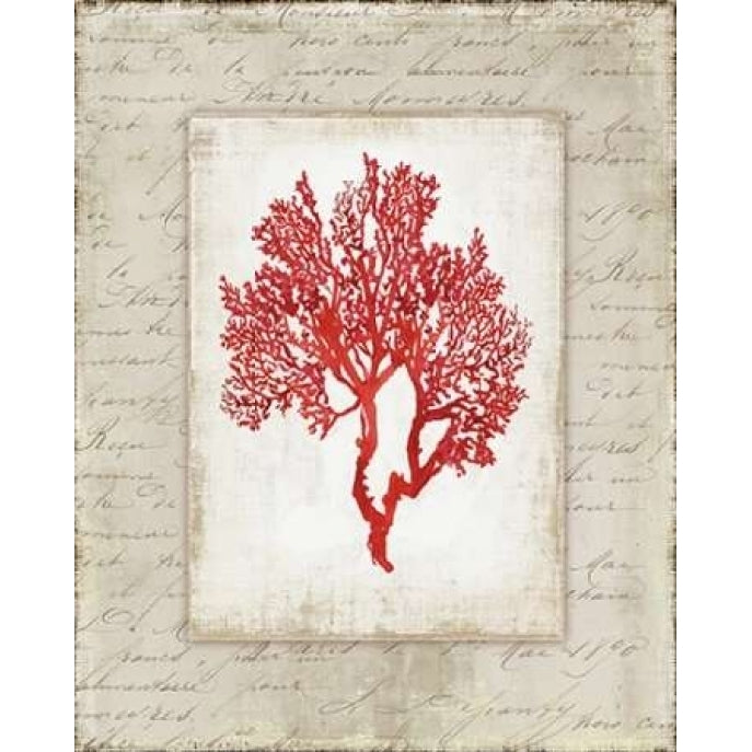 Red Coral II Poster Print by Aimee Wilson-VARPDXWL056A Image 2