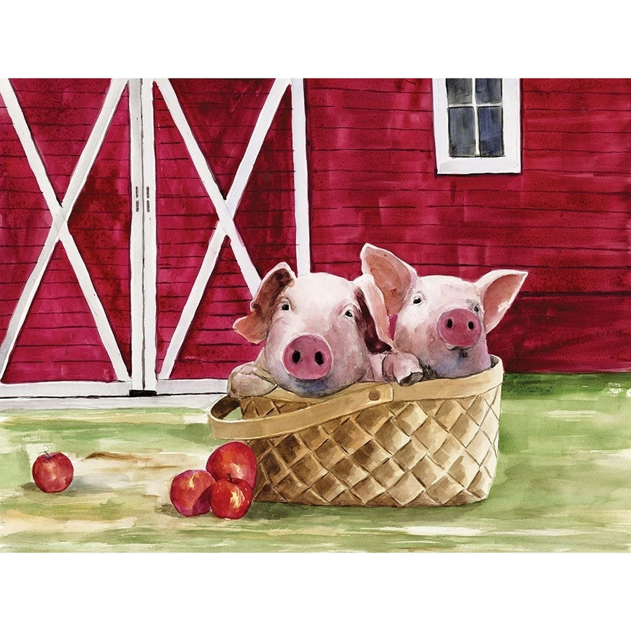 Pigs in a Basket Poster Print - White Ladder-VARPDXWL149 Image 1