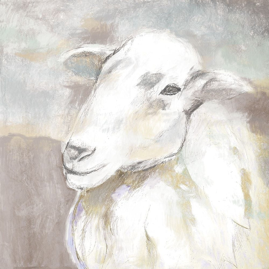 Sheep Portrait Poster Print - White Ladder-VARPDXWL159 Image 1