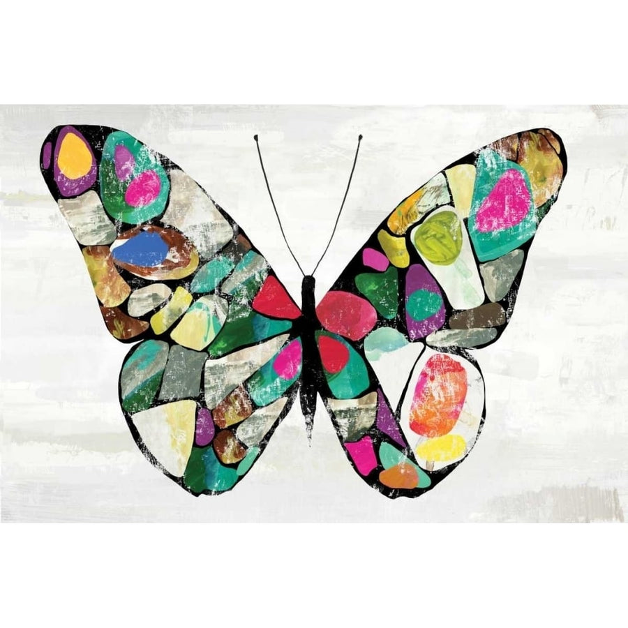 Butterfly Poster Print by Aimee Wilson-VARPDXWL170A Image 1