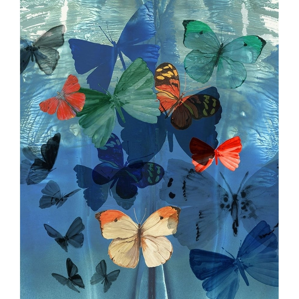 Fluttering Butterflies Poster Print by Aimee Wilson-VARPDXWL289A Image 1